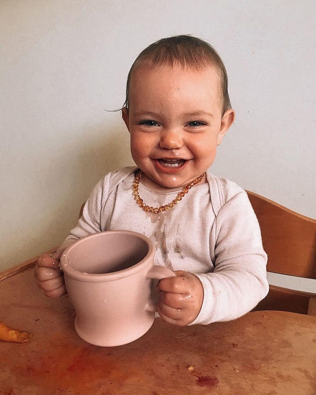 image:imagehaakaa Silicone SipNSnack Cup Dropproof Toddlers Sippy Cup amp Snack Container 2in1 BPA Free Food Grade Silicone Cup for Baby 6 Months 9 Ounce GreyBlush